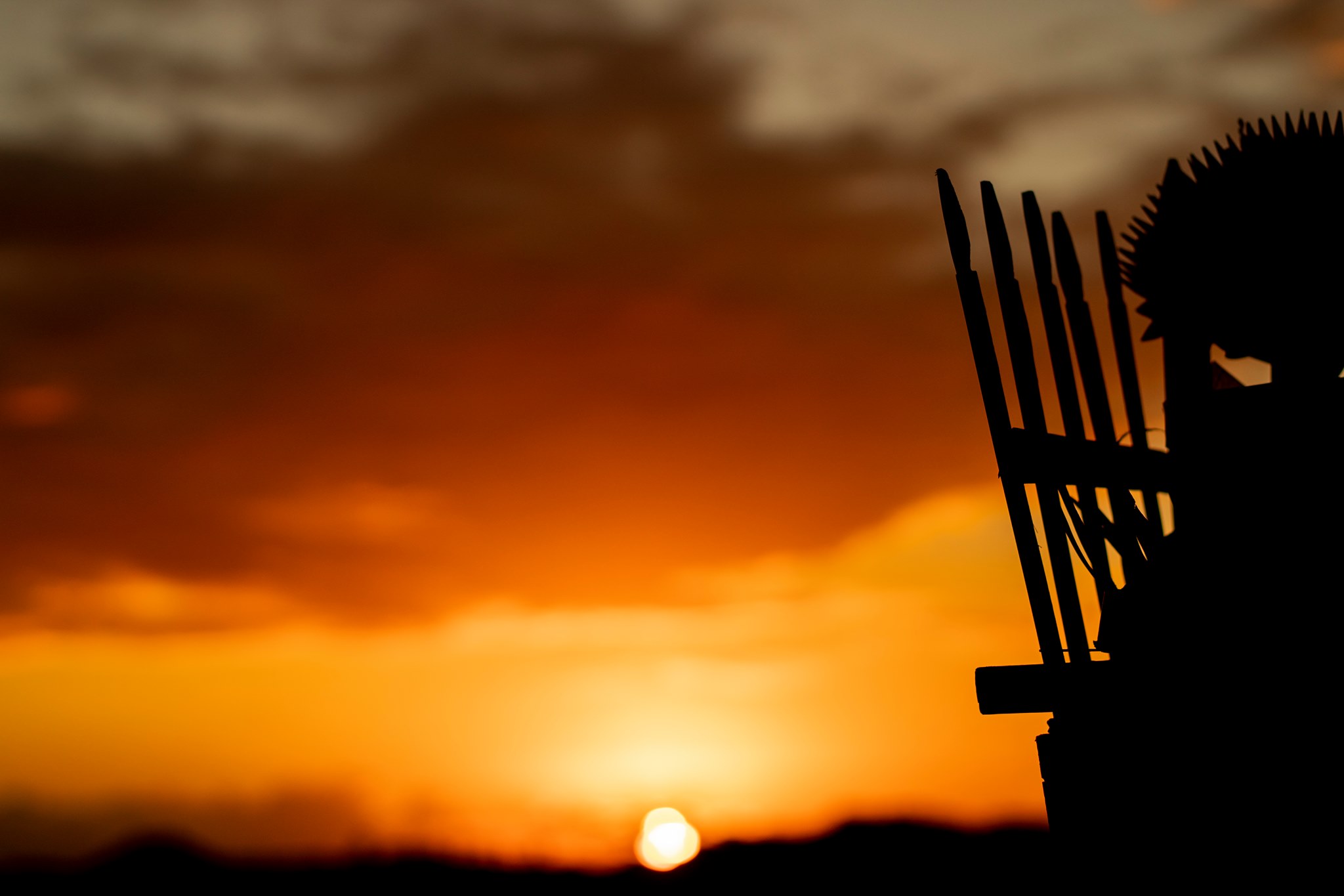 Nurturing Our children's from Nature